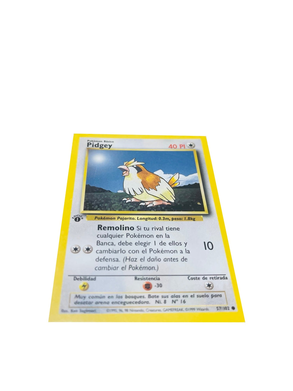 Pokémon Base Set 1.ª Edición ES | Pidgey · anverso real sobre fondo blanco