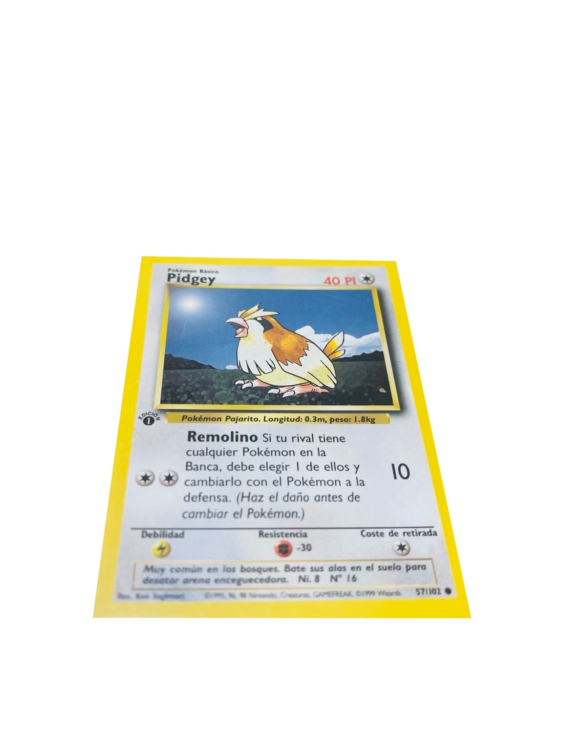 Pokémon Base Set 1.ª Edición ES | Pidgey · anverso real sobre fondo blanco