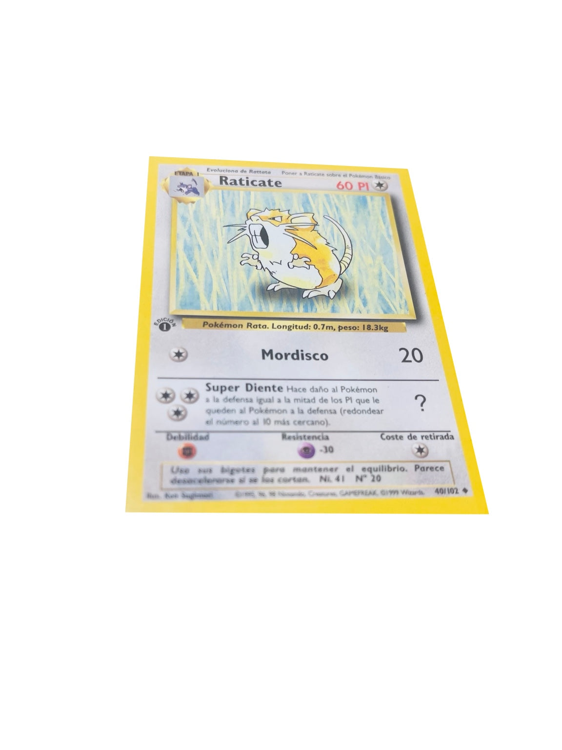 Pokémon Base Set 1.ª Edición ES | Raticate · anverso real sobre fondo blanco